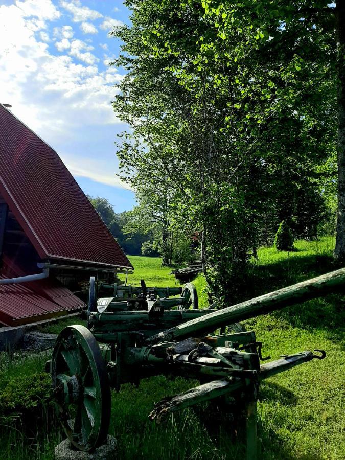 Kuca Za Odmor Gale Villa Delnice Eksteriør billede